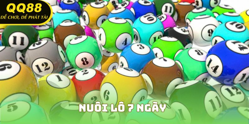 Nuôi lô 7 ngày