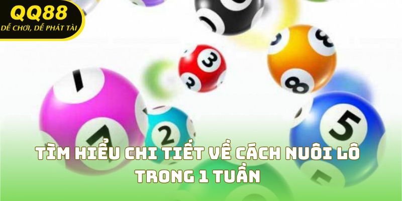 Tìm hiểu chi tiết về cách nuôi lô trong 1 tuần